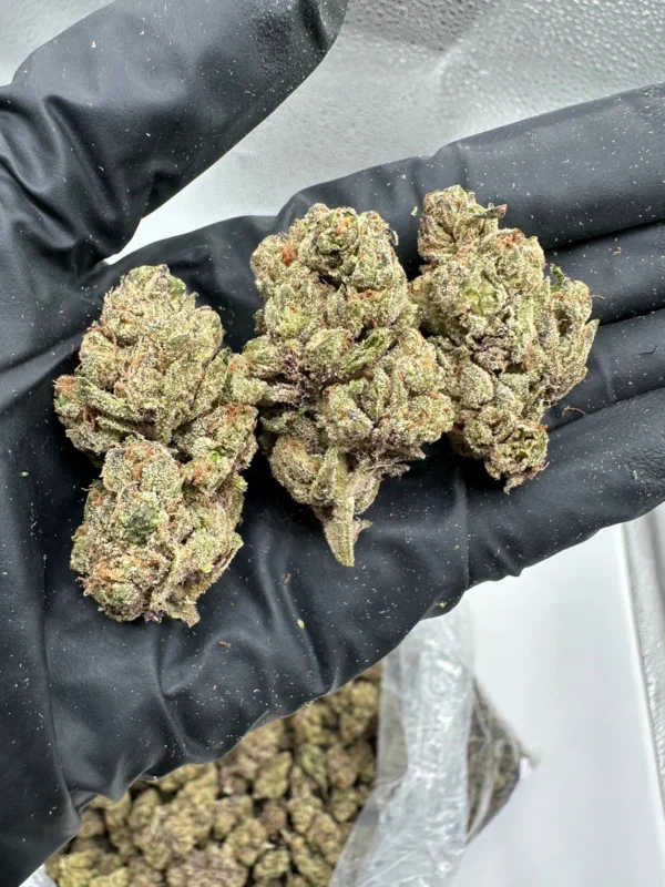 Lemon Cherry Gelato THCA Flower | Balanced Hybrid - Image 2