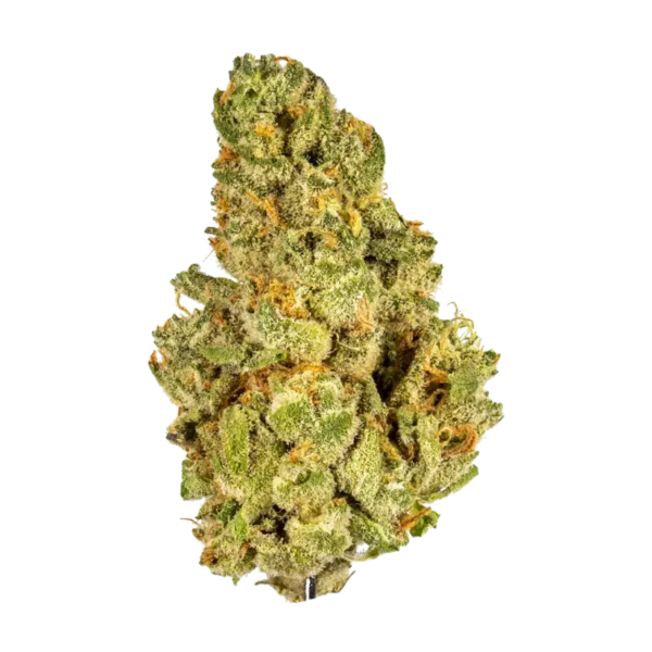 Kush Mints THCA Flower | Balanced Hybrid