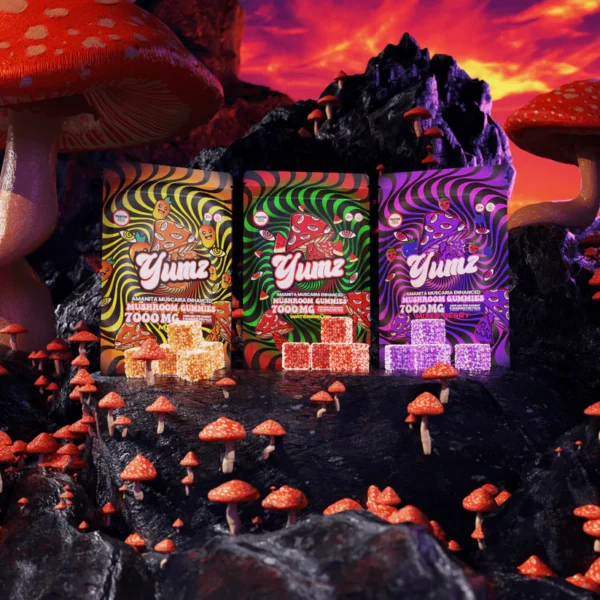 magic mind alternative